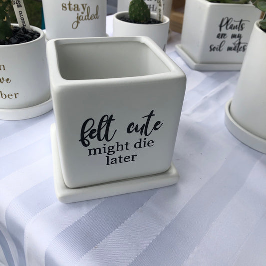 Felt cute, might die later image 0