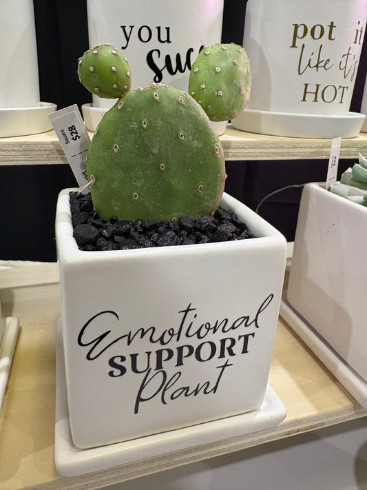 Sassy Plants - "Emotional Support Plant”