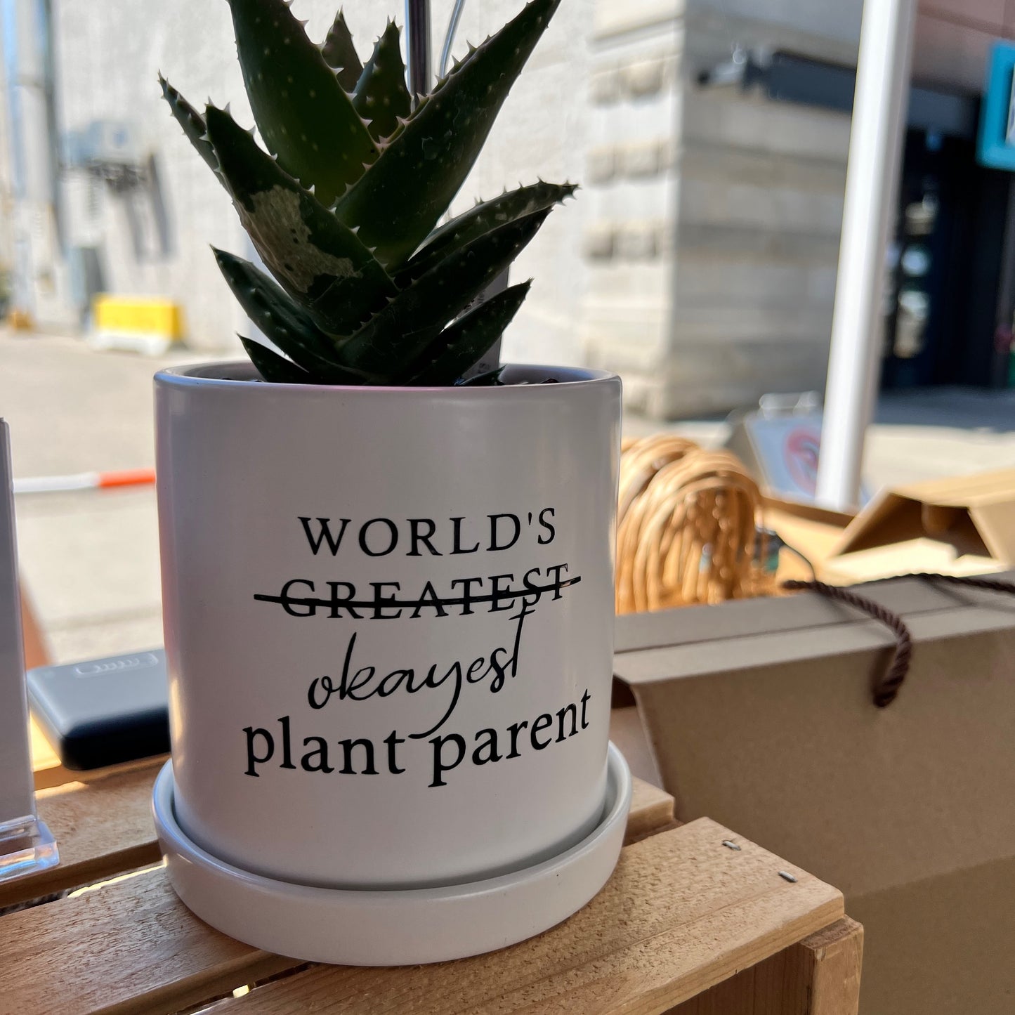 World’s okayest plant parent image 0