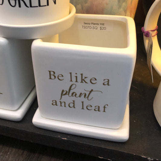 Be like a plant and leaf image 0