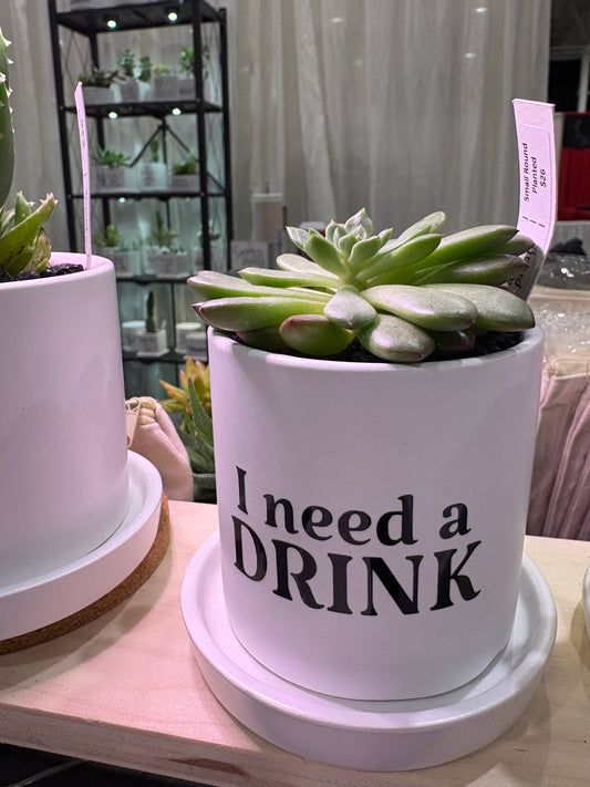 Sassy Plants - "I need a drink”