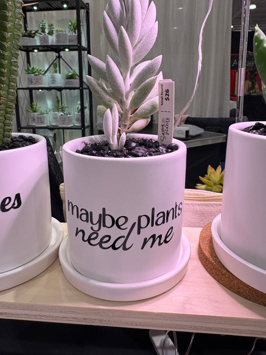 Sassy Plants - "maybe plants need me”