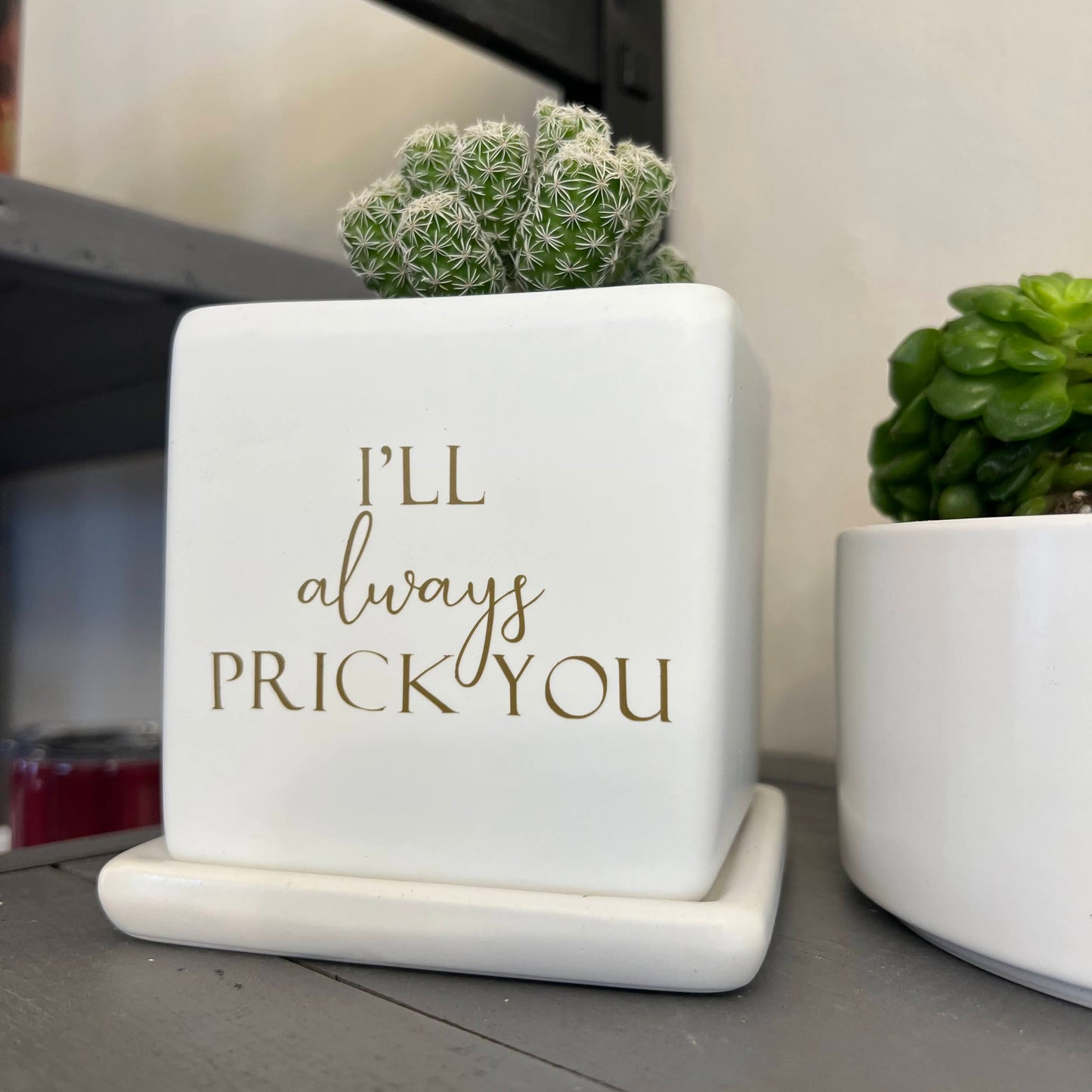 Sassy Plants - "I'll always prick you"