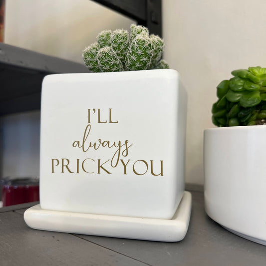Sassy Plants - "I'll always prick you"