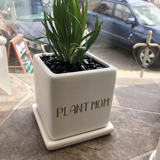 Plant Mom image 1