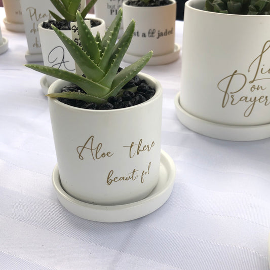 Aloe there beautiful image 0
