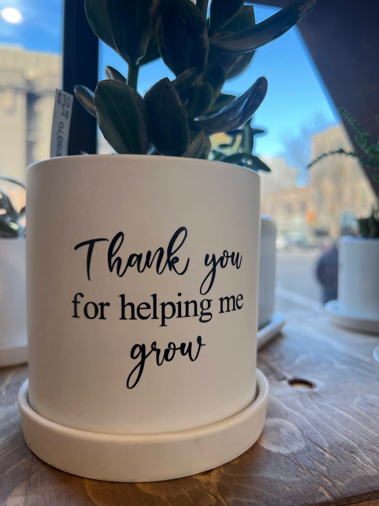 Sassy Plants - "Thank you for helping me grow"