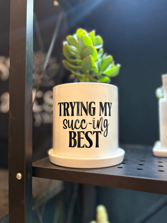 Sassy Plants - "Trying my succ-ing best"