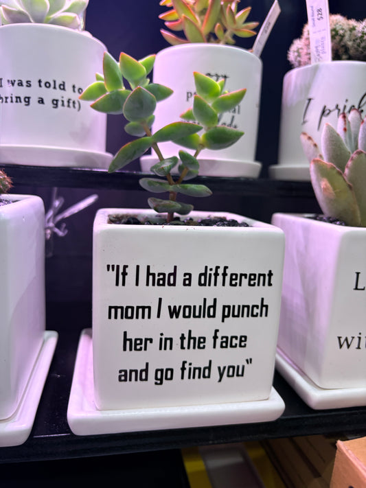 Sassy Plants - "  "If I had a different mom..."  "