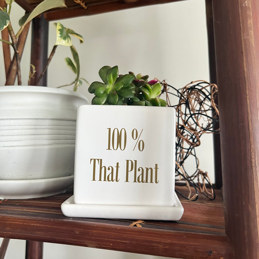 Sassy Plants - "100% That Plant"