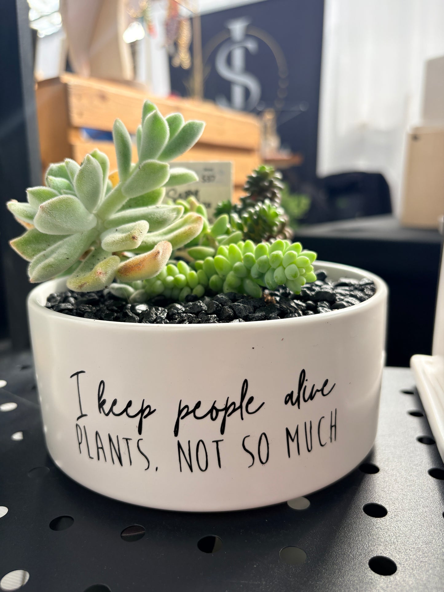 Sassy Plants - "I keep people alive. Plants, not so much"