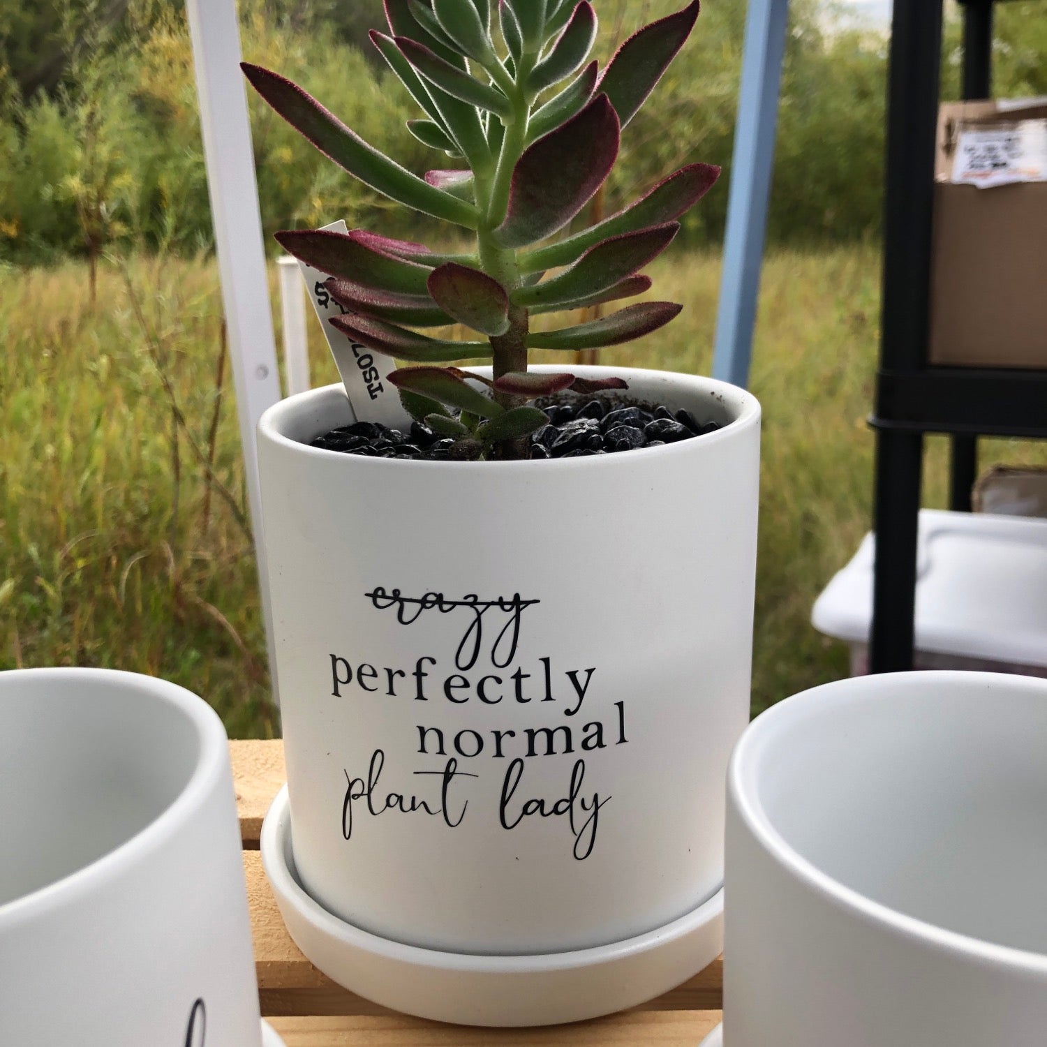 Perfectly normal plant lady image 1