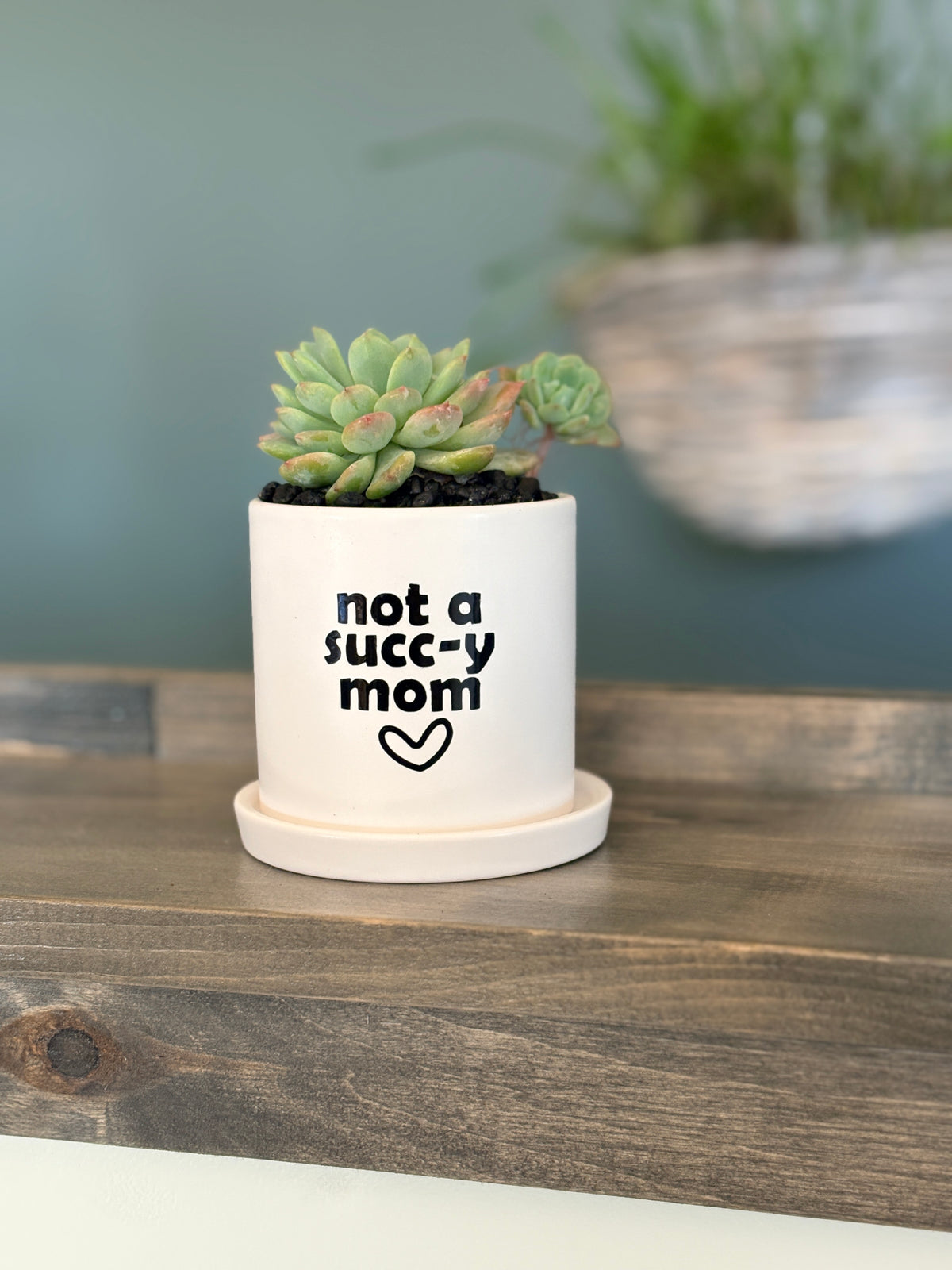 Sassy Plants - "not a succ-y mom/dad”