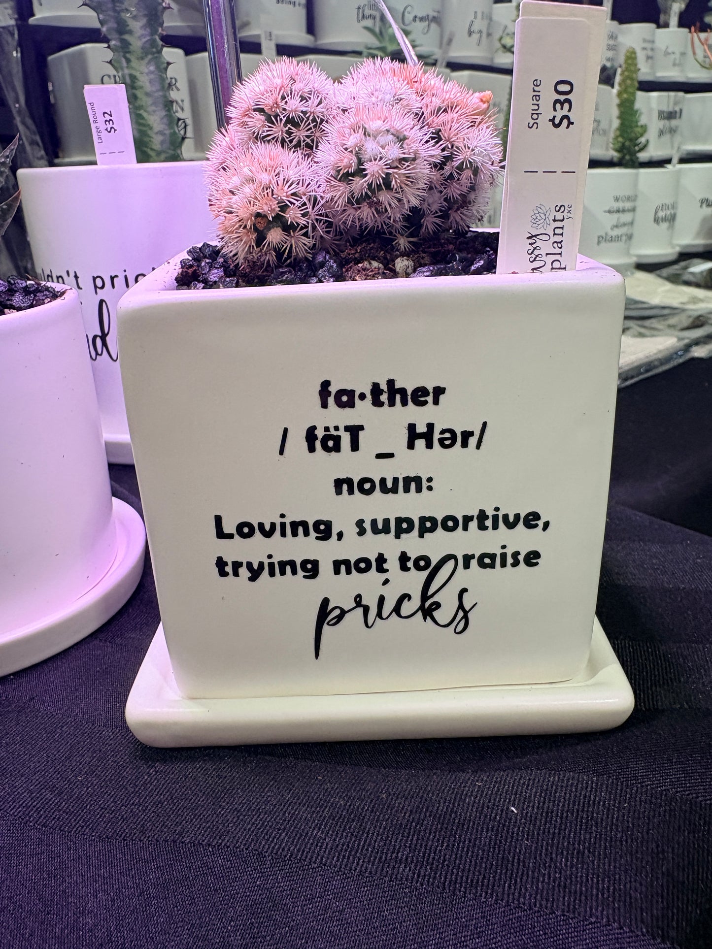 Sassy Plants - "father (definition)" - cactus