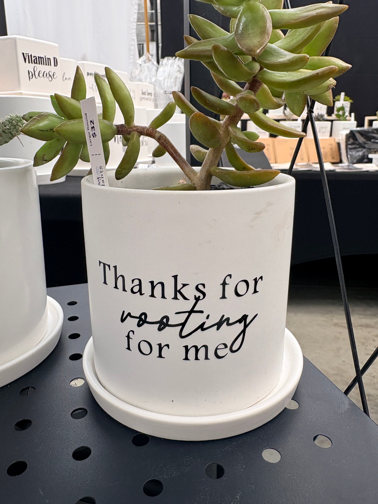 Sassy Plants - "Thanks for rooting for me"