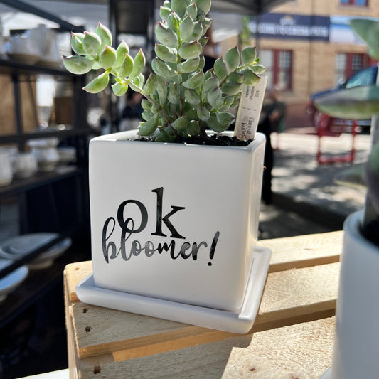 Ok bloomer!  image 0