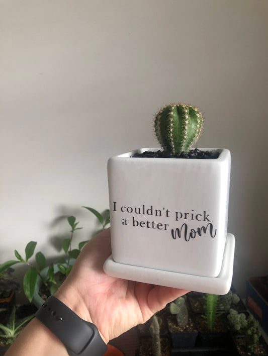 I couldn't prick a better Mom image 1