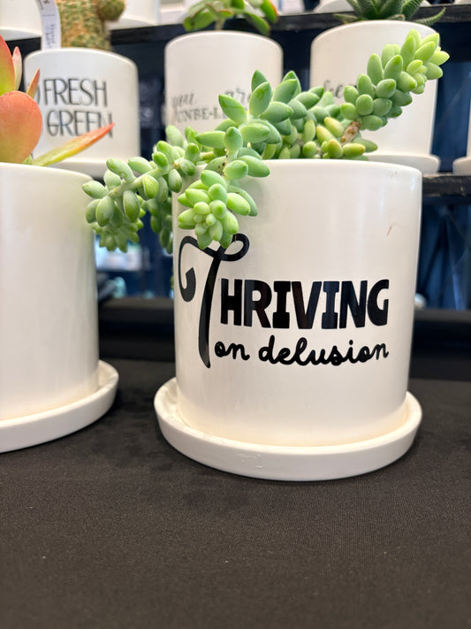 Sassy Plants - "Thriving on delusion"