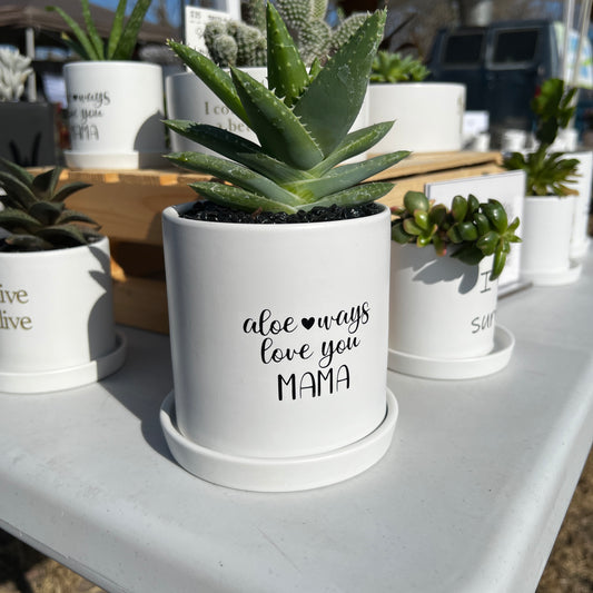 Sassy Plants - "Aloe-ways love you Mama"