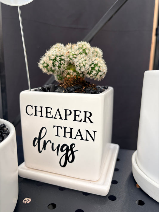 Sassy Plants - "Cheaper than drugs"