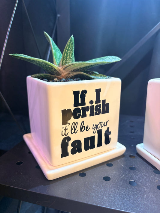 Sassy Plants - "If I perish, it’ll be your fault"