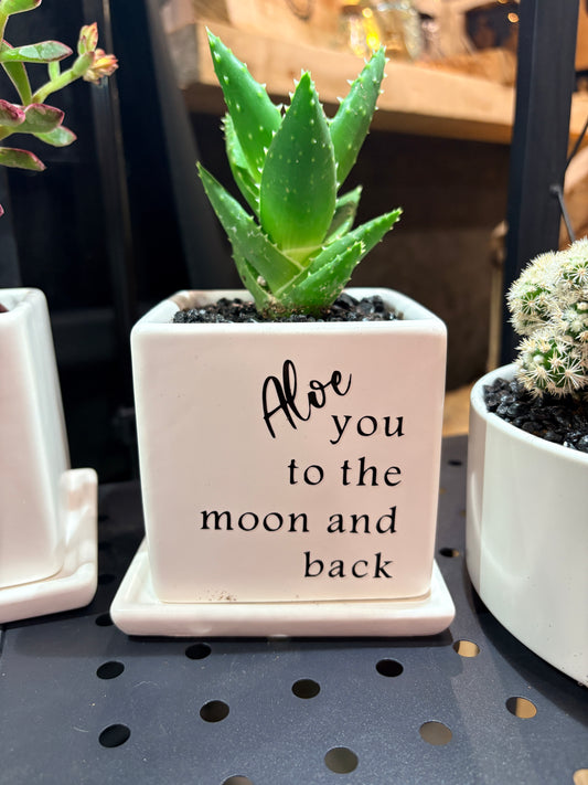 Sassy Plants - "Aloe you to the moon and back”