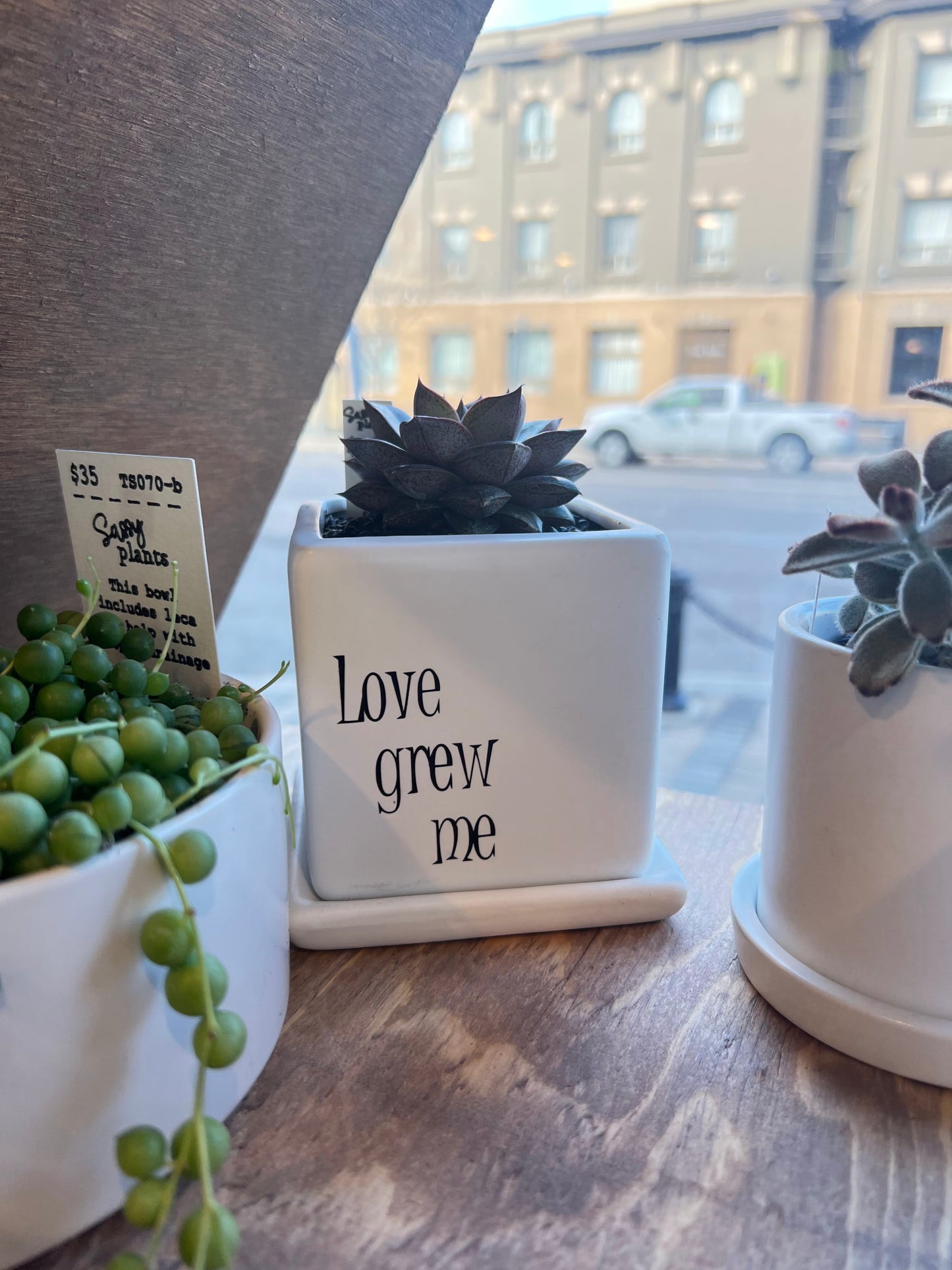 Sassy Plants - "love grew me"