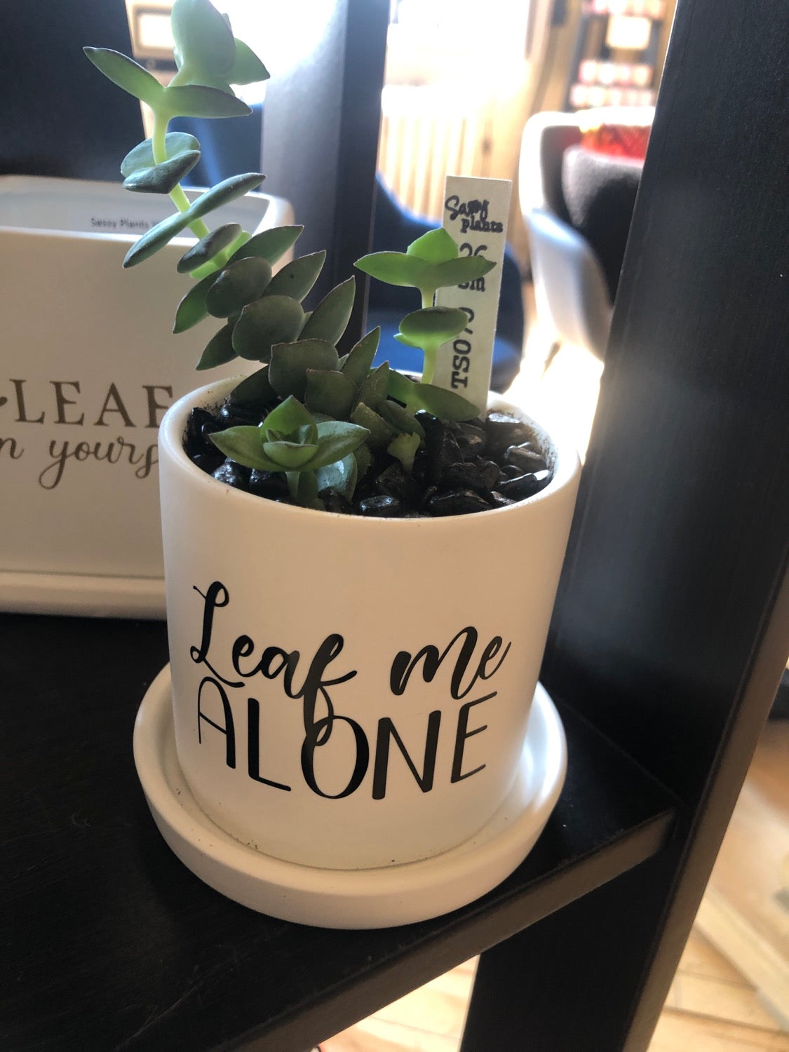 Leaf me alone image 1