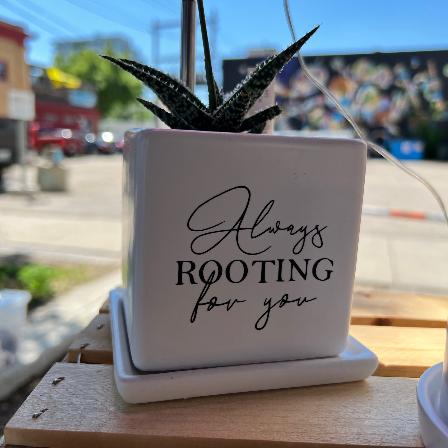 Always rooting for you image 0