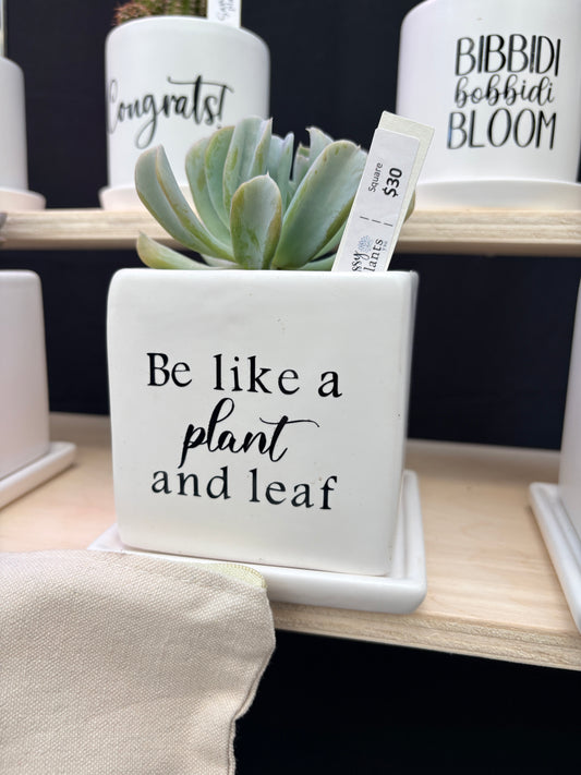 Sassy Plants - "Be like a plant and leaf"