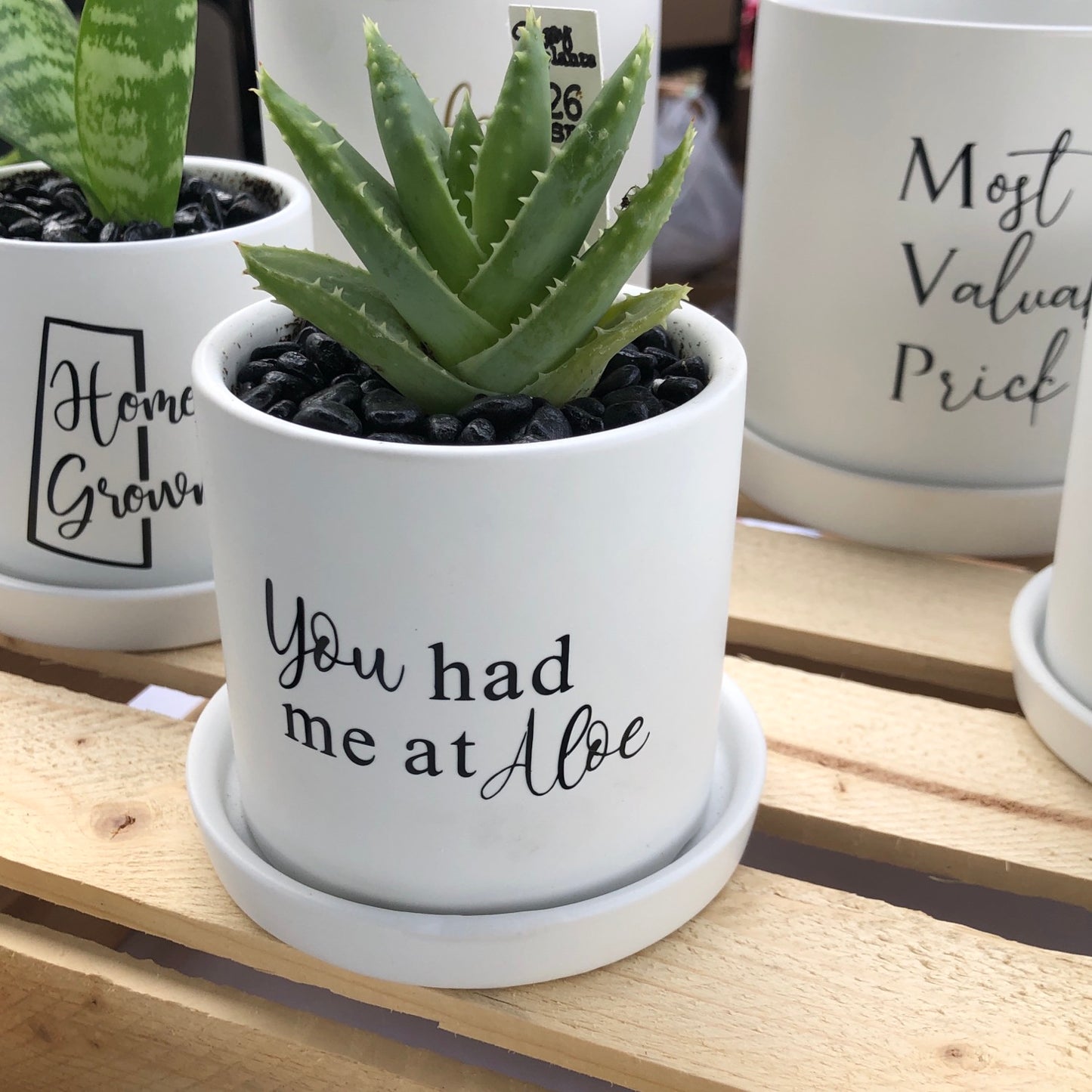 You had me at Aloe image 2
