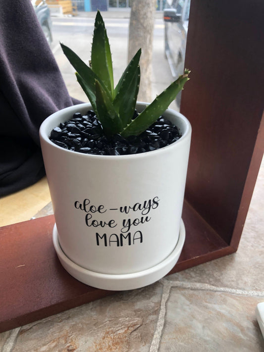 Aloe-ways love you Mama image 2
