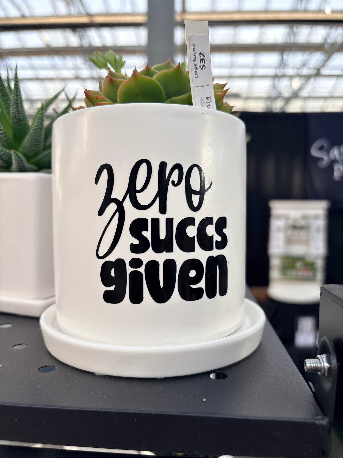 Sassy Plants - "Zero succs given"