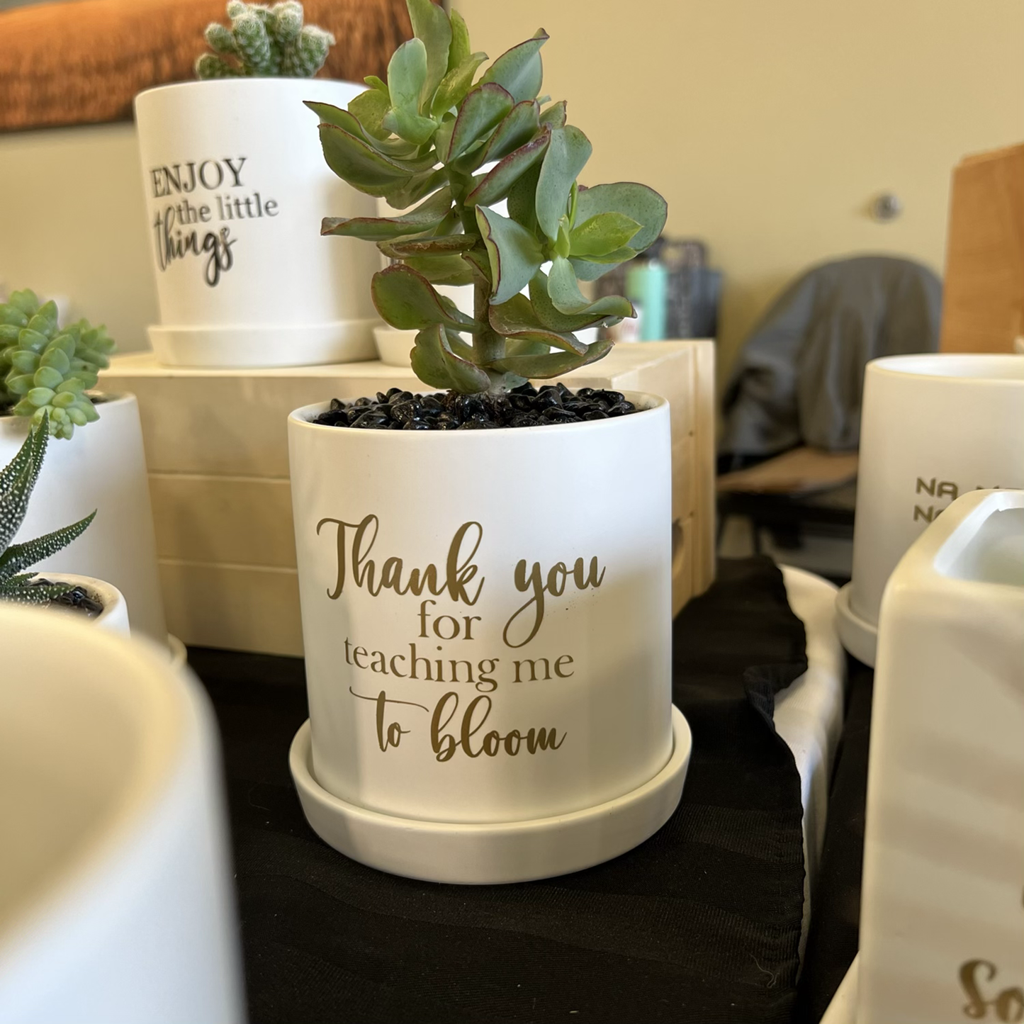 Thank you for teaching me to bloom image 2