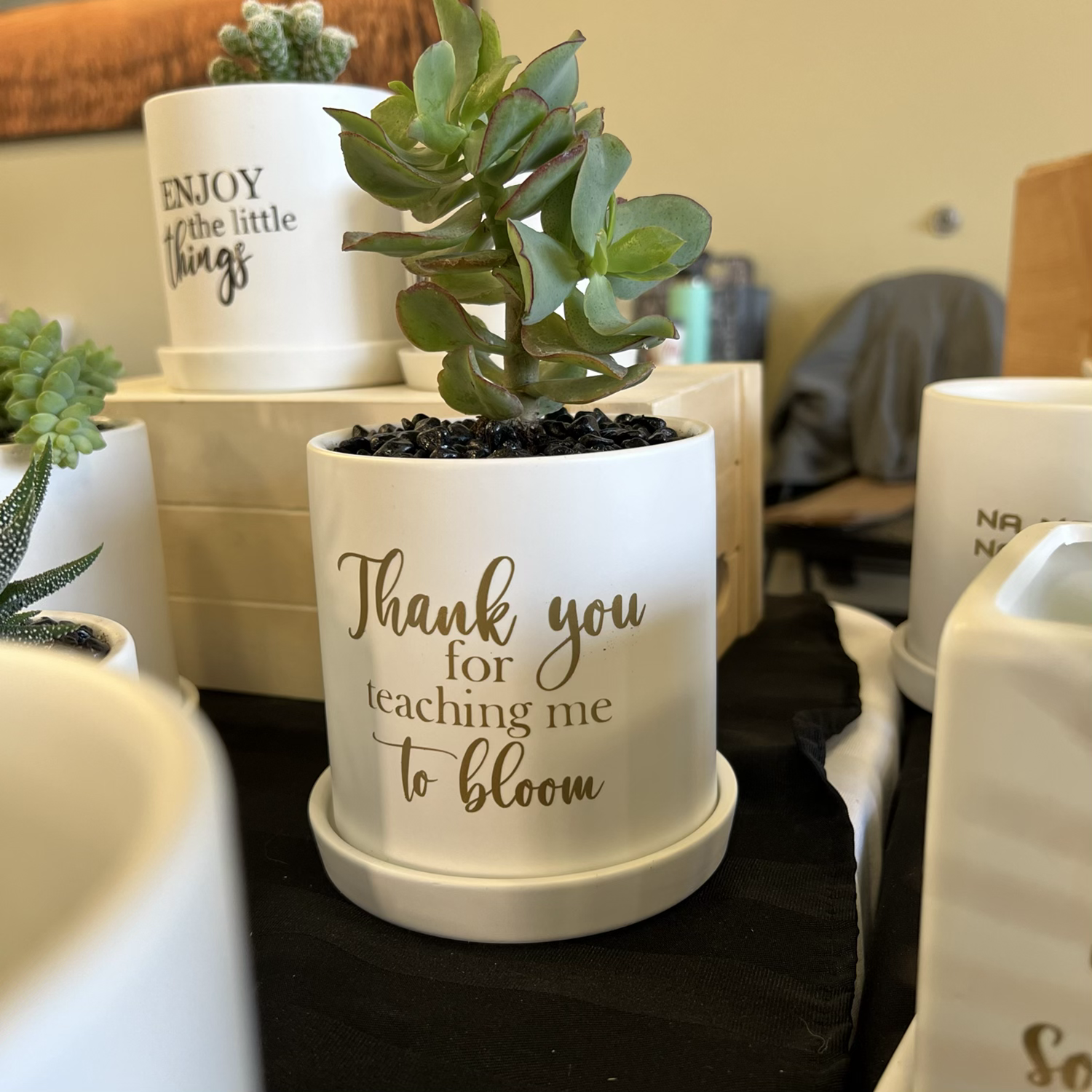 Thank you for teaching me to bloom image 2