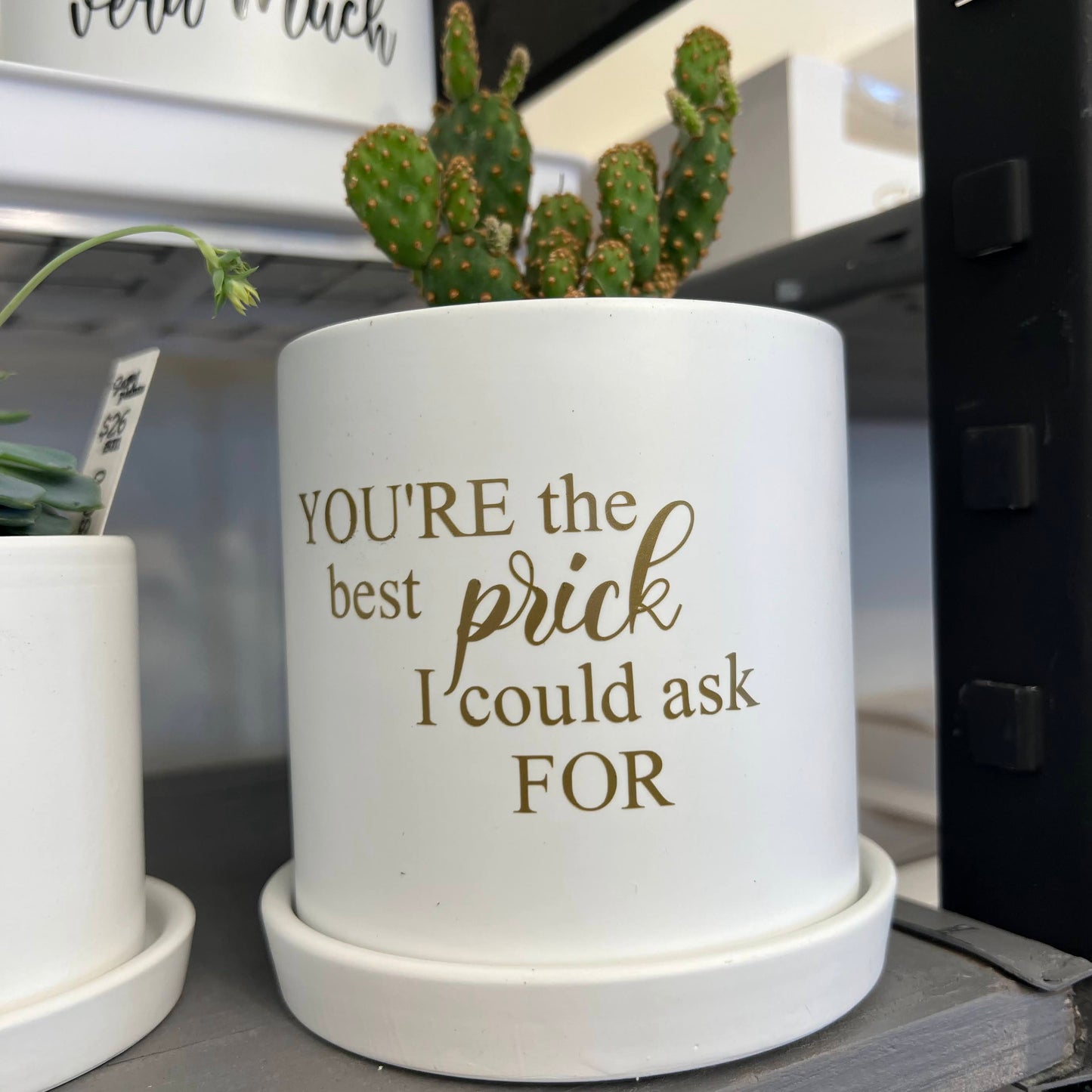 Sassy Plants - "You're the best prick I could ask for"