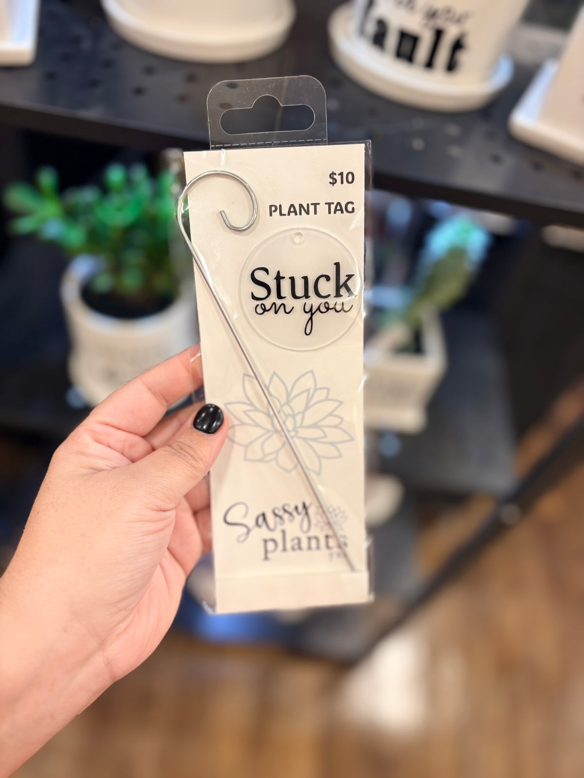 Sassy Plants - Planter Tags