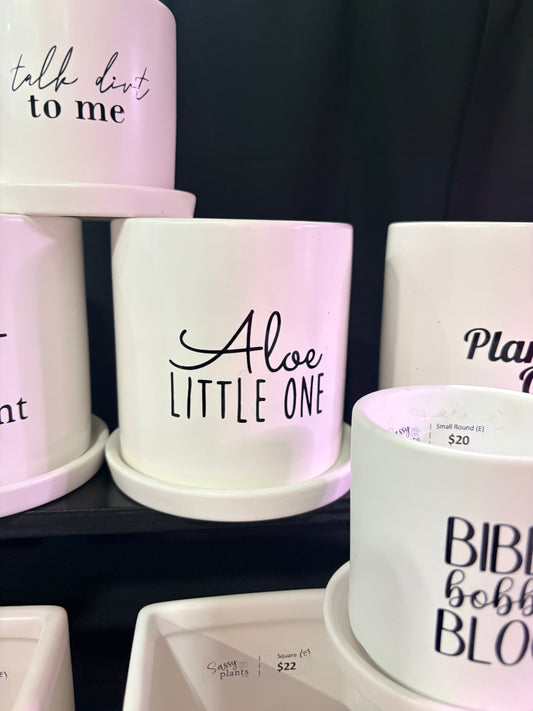 Sassy Plants - "Aloe little one”