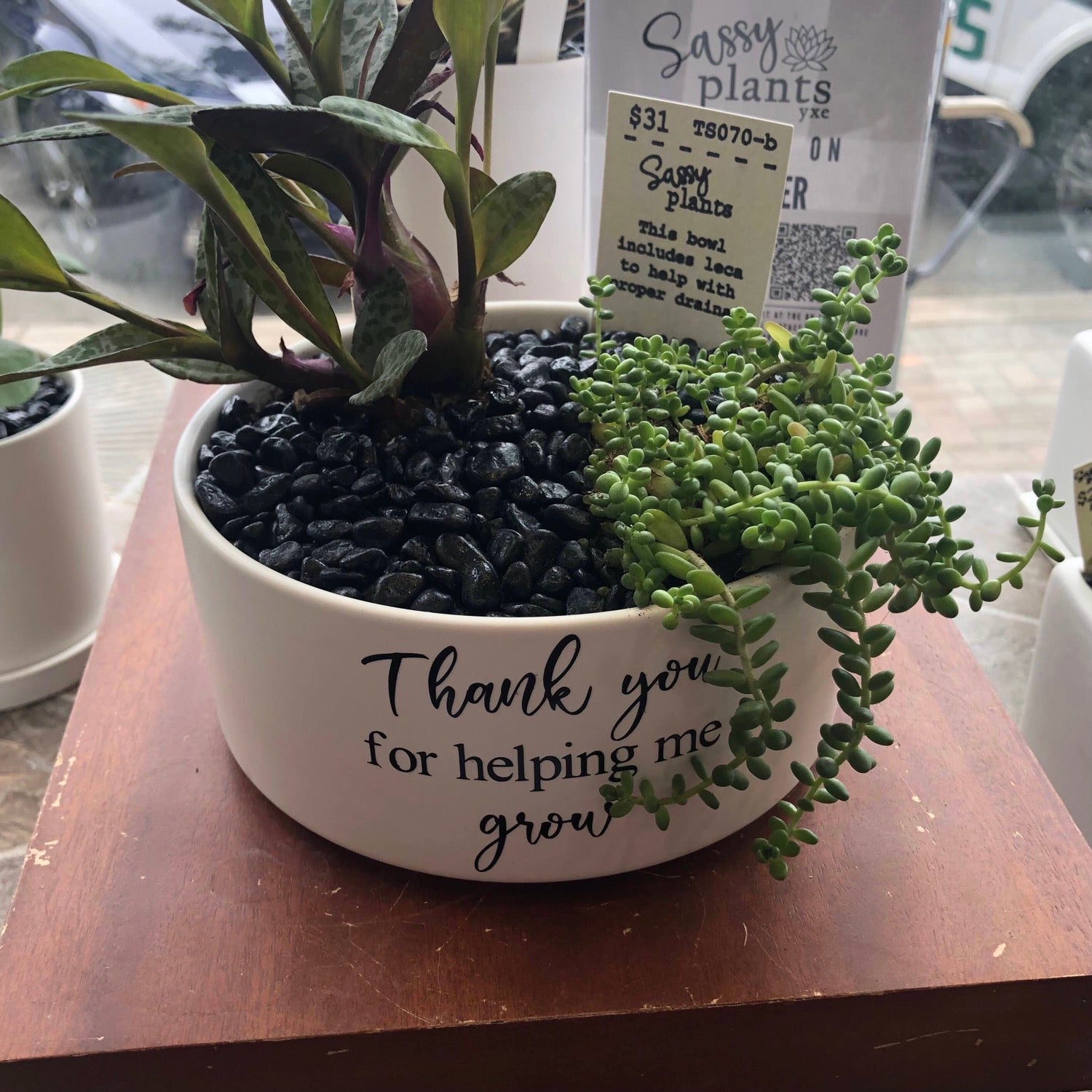 Thank you for helping me grow image 0