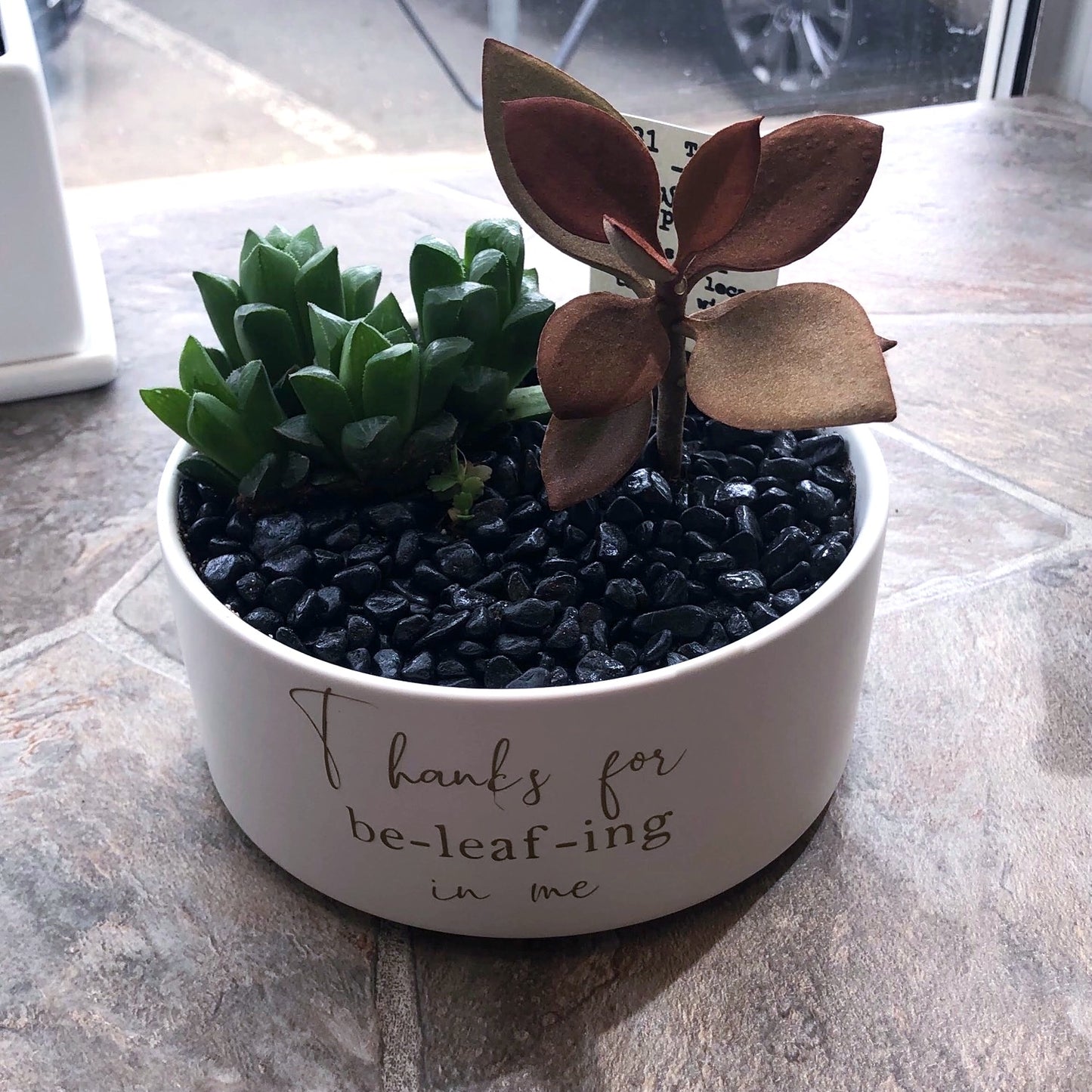 Thanks for be-leaf-ing in me image 0