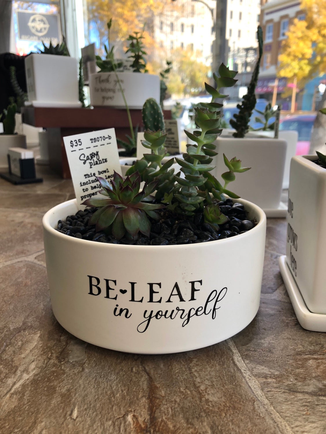 Be Leaf in yourself image 0