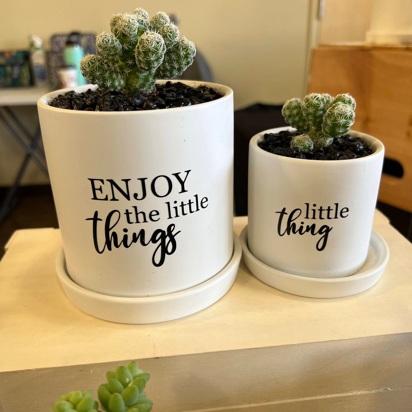 Sassy Plants - "Little thing" - Mini 'n Me set