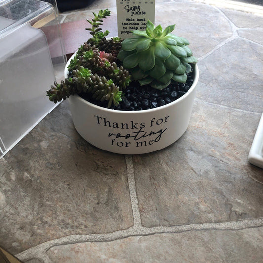 Thanks for rooting for me image 0