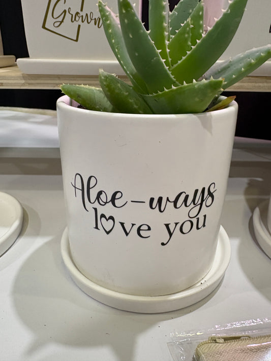 Sassy Plants - "Aloe-ways love you"