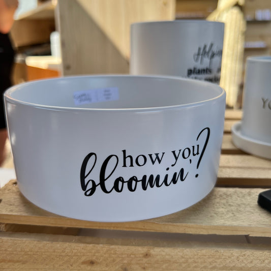 How you bloomin’?  image 0