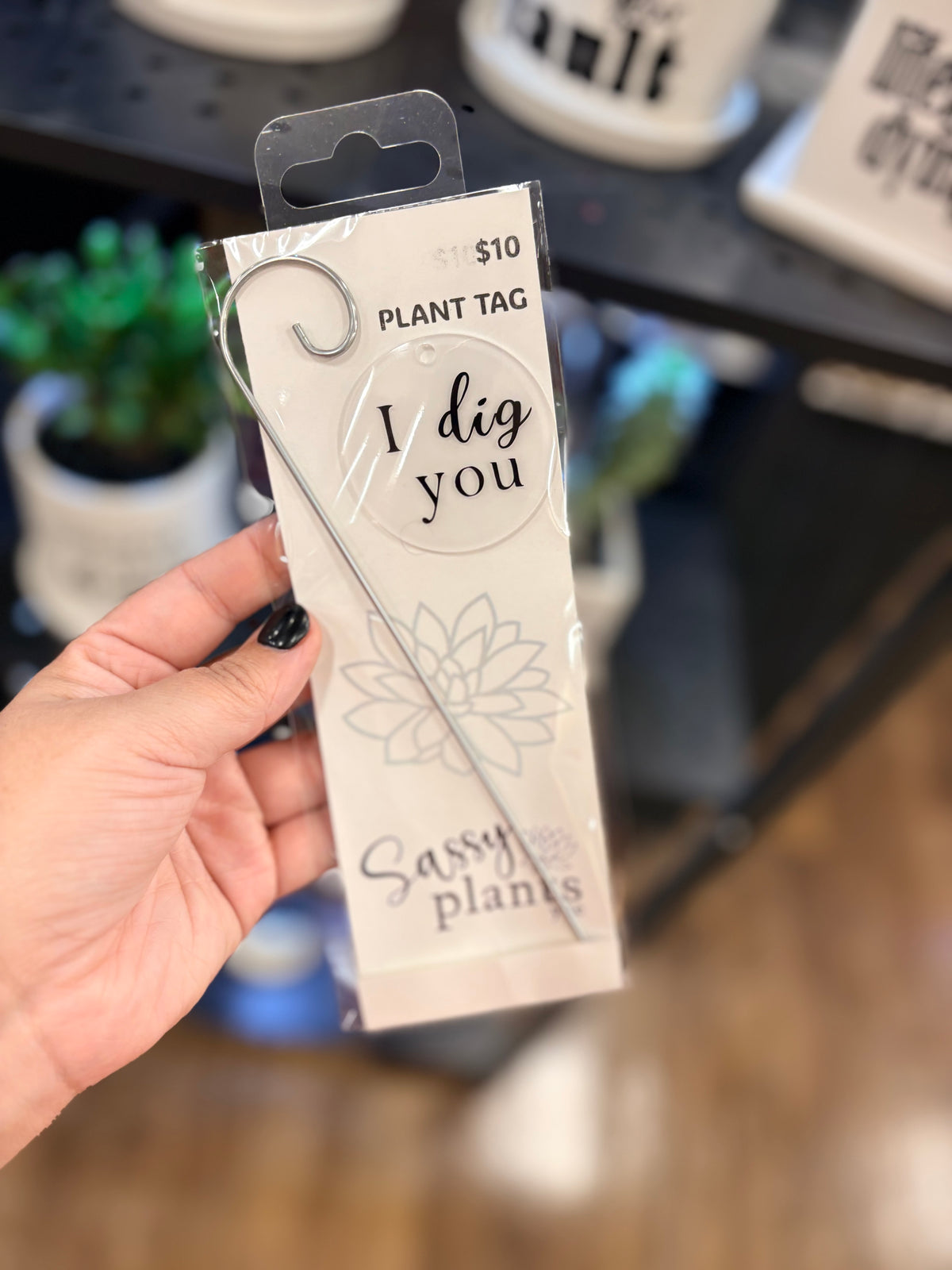 Sassy Plants - Planter Tags