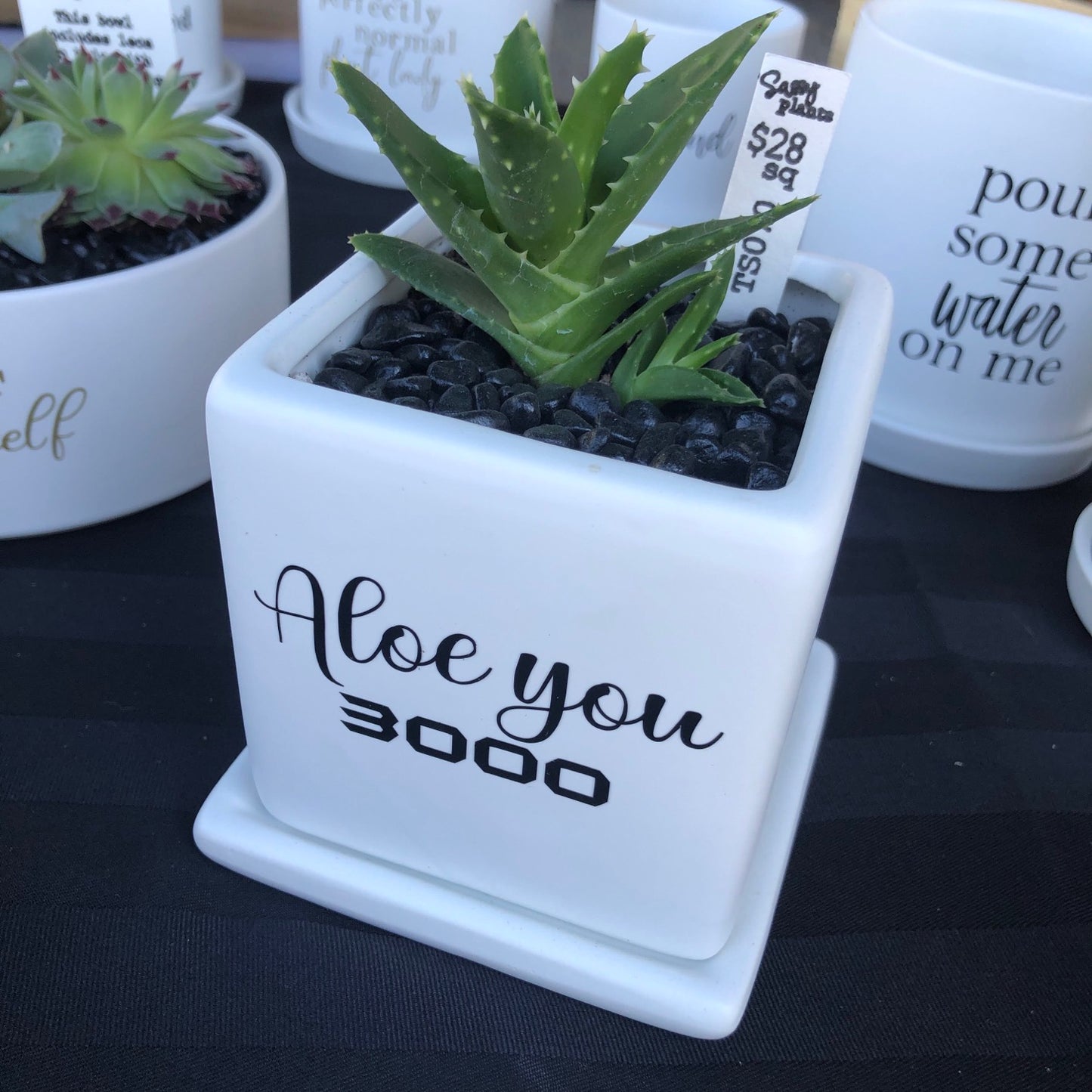 Aloe you 3000 image 0