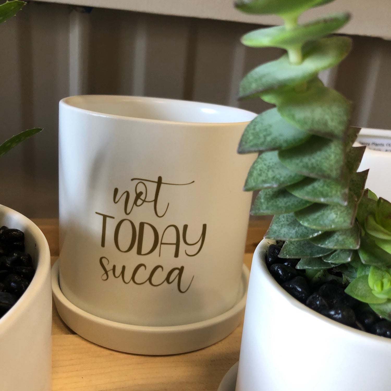 Not today succa image 0