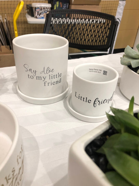 Little friend (Aloe) - Mini ‘n Me set image 0