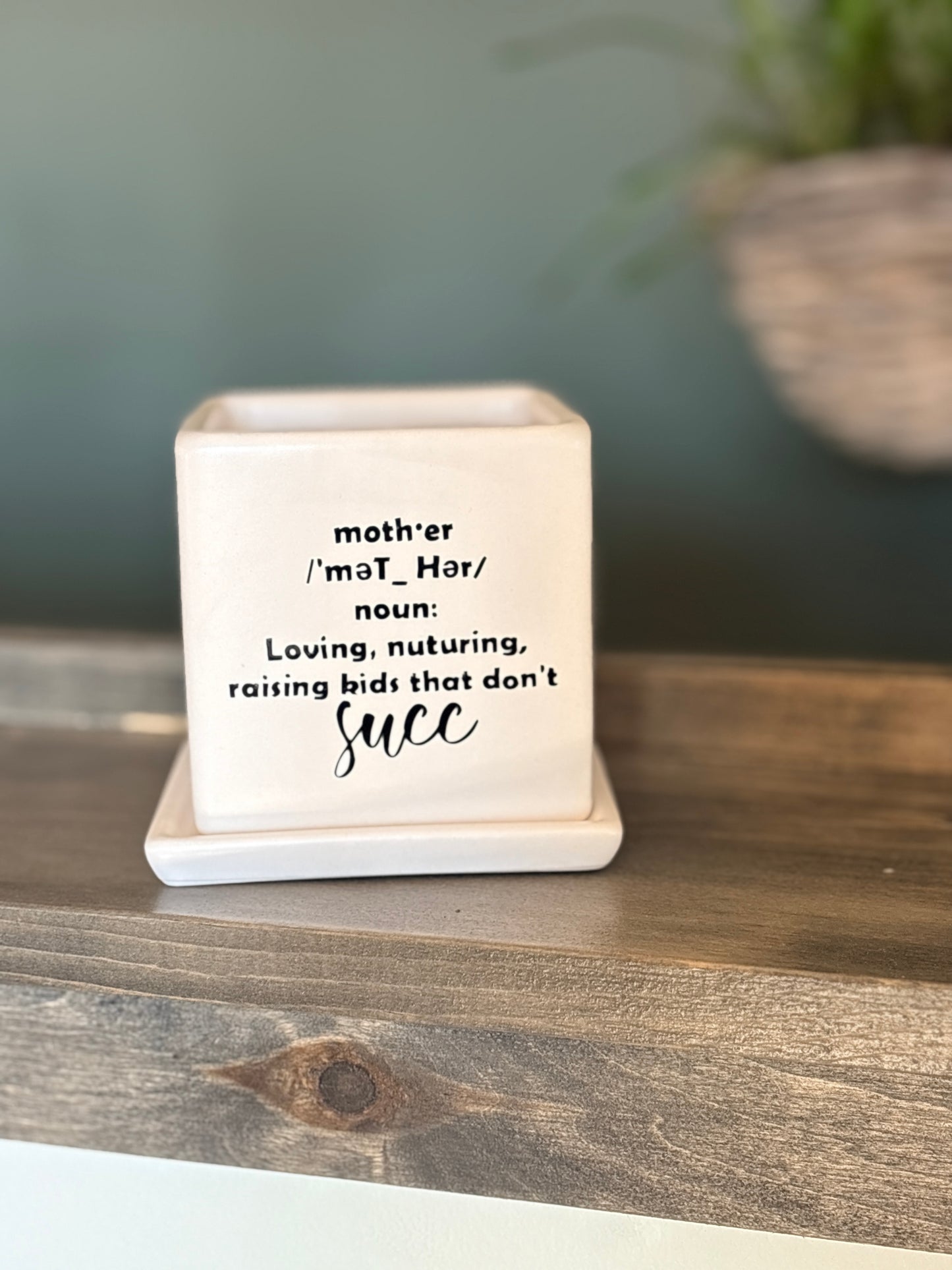 Sassy Plants - "mother (definition)" - succulent